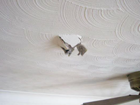 The Plaster Patch Company